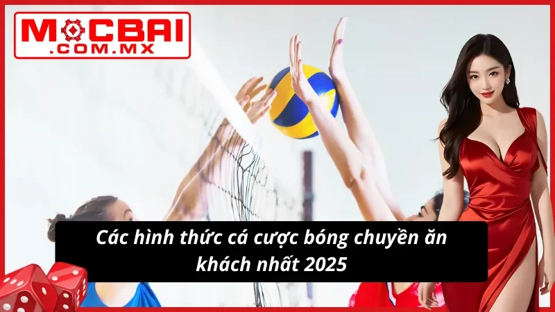Các hình thức cá độ bóng chuyền ăn khách nhất 2025