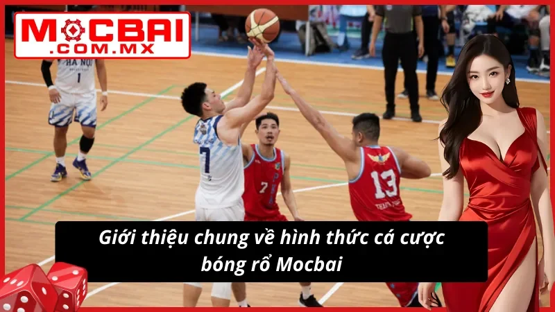 Giới thiệu về hình thức cá cược bóng rổ cực đỉnh