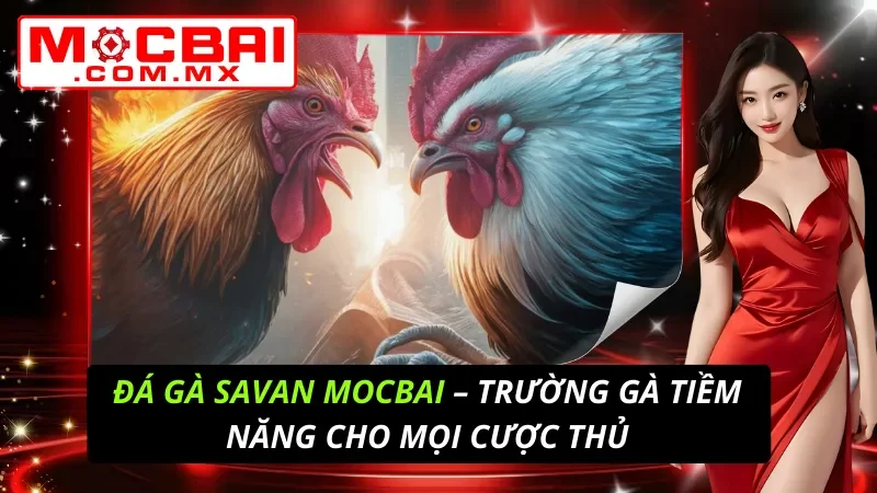 Đá Gà Savan