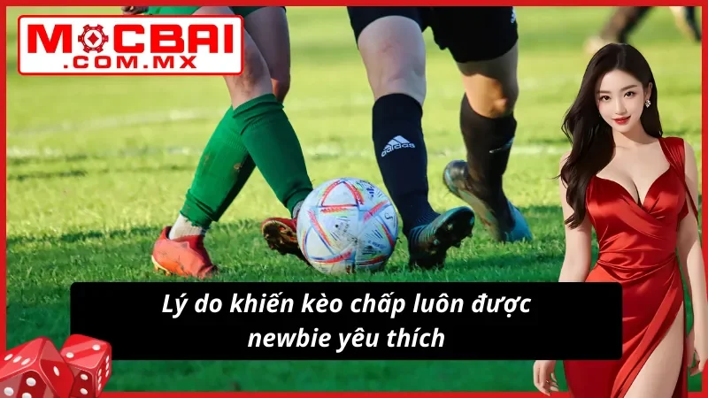 Lý do khiến kèo châu Á luôn được newbie yêu thích