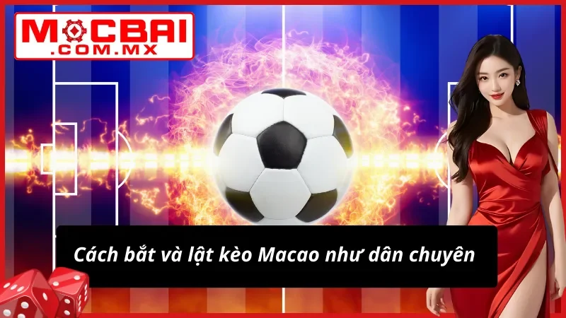 Lật kèo Macao chuyên nghiệp như một cao thủ cá độ