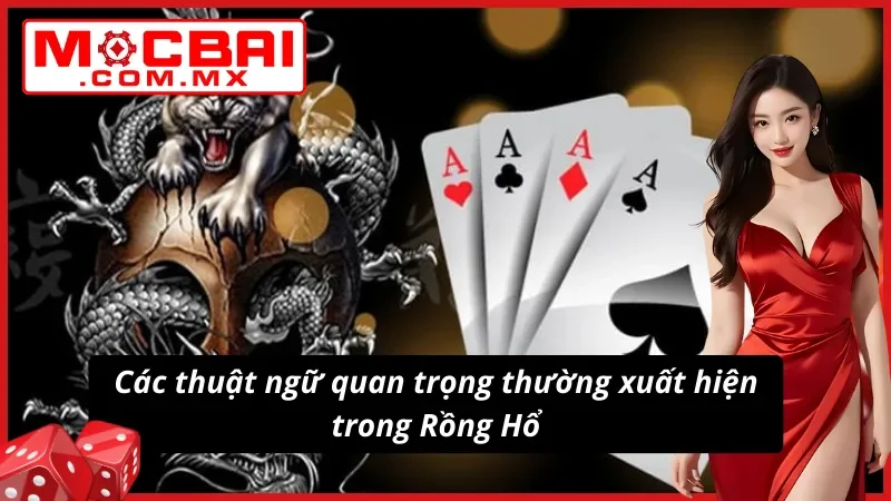 Thuật ngữ trong game Rồng Hổ dễ thấy dễ hiểu 