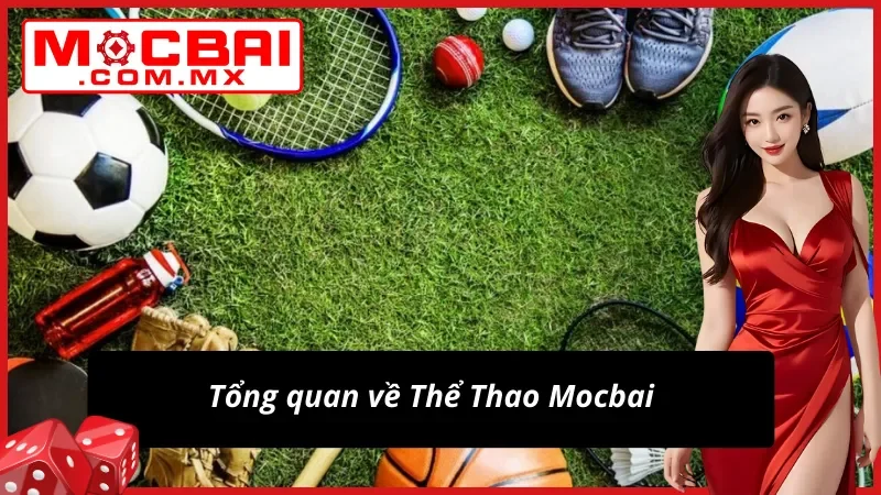 Đôi nét về dịch vụ bet kèo Thể Thao từ nhà cái