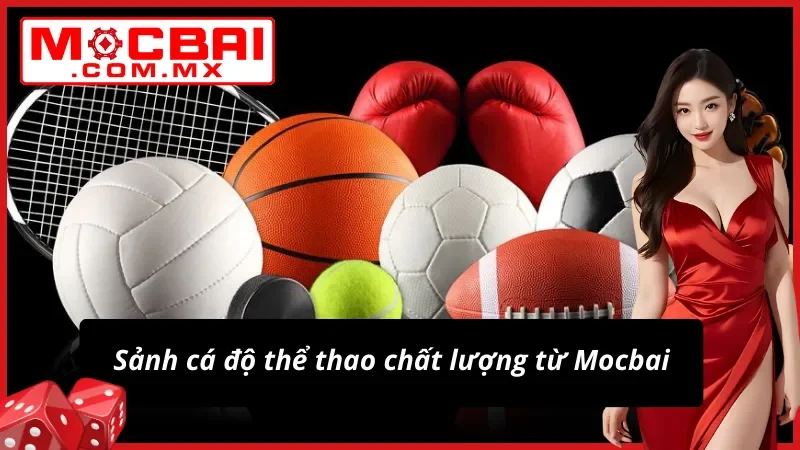 Hội tụ những sảnh cược Thể Thao hàng đầu