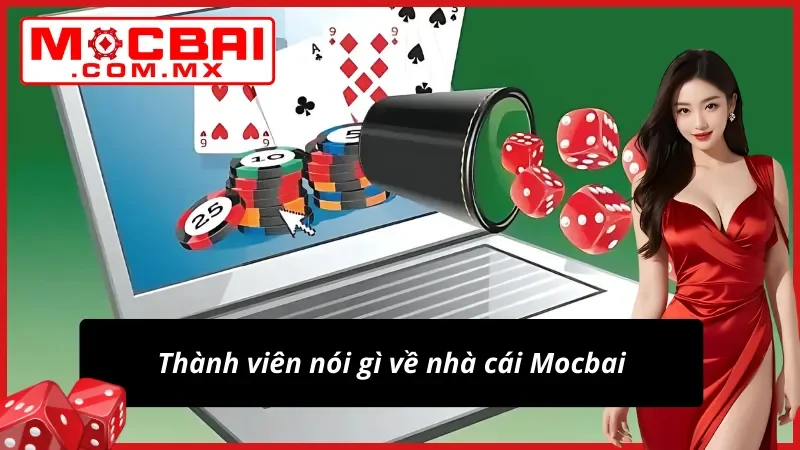 Những nhận xét tích cực về thương hiệu 